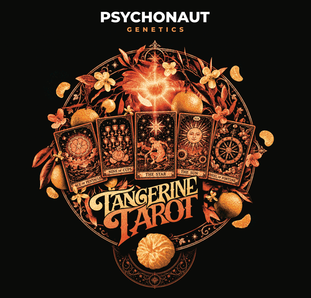 Tangerine Tarot