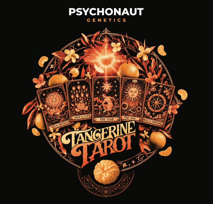 Tangerine Tarot